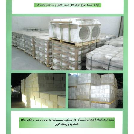 برترین تولید کنندگان آجر سنتی صادراتی در ایران
